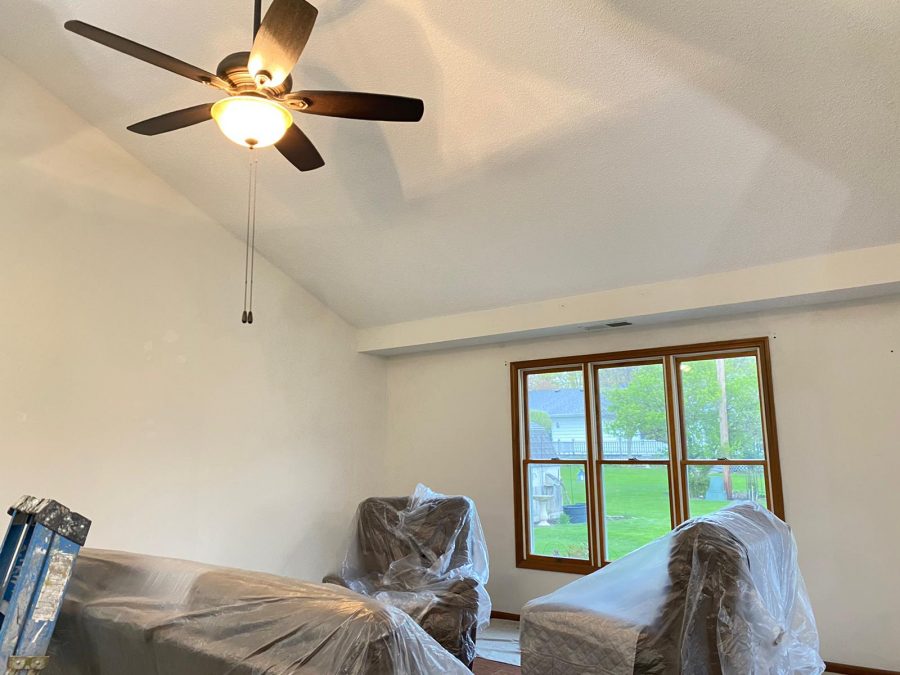 Residential Painting Project Preview Image 3