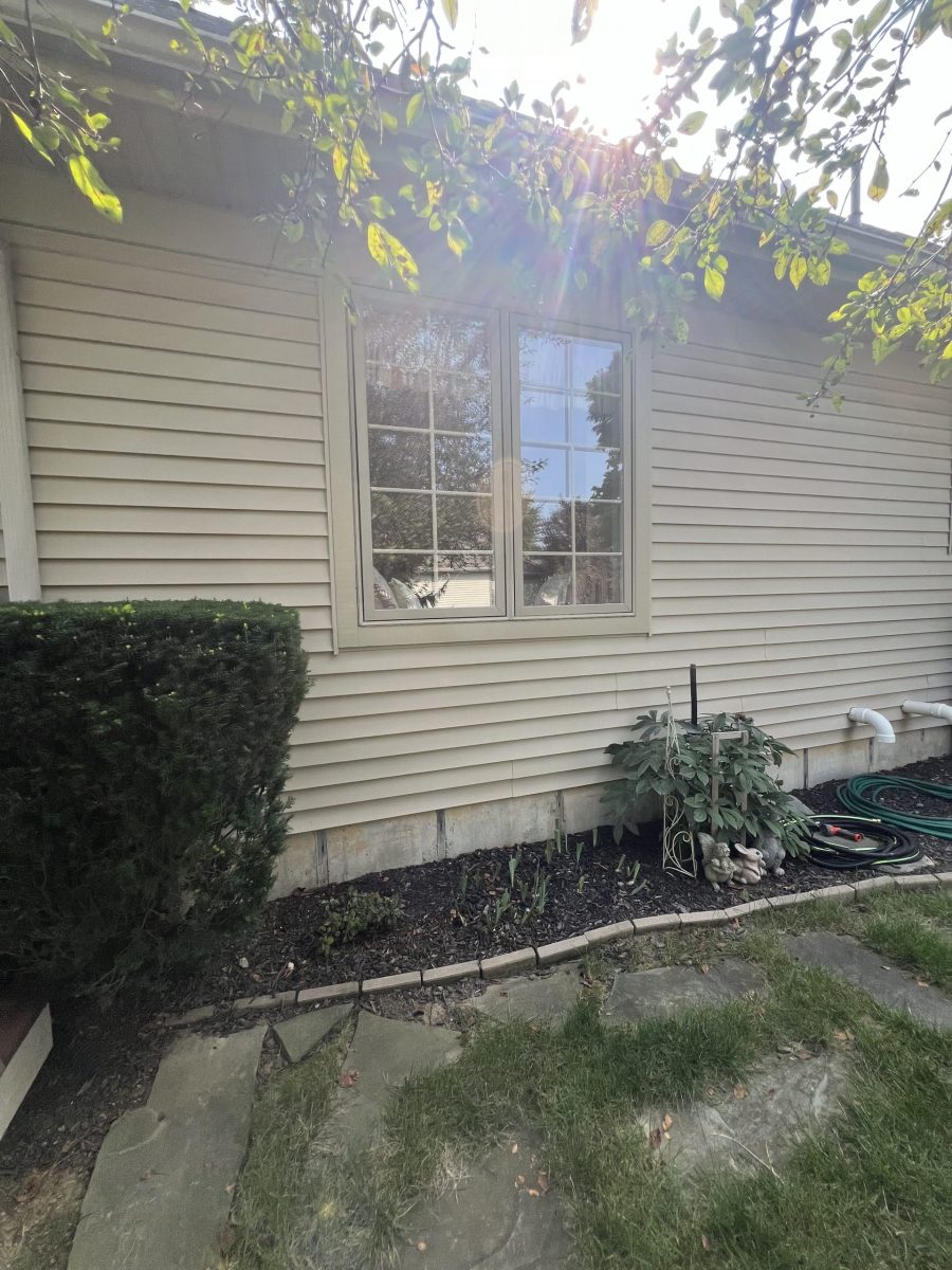 Harrington After Preview Image 1