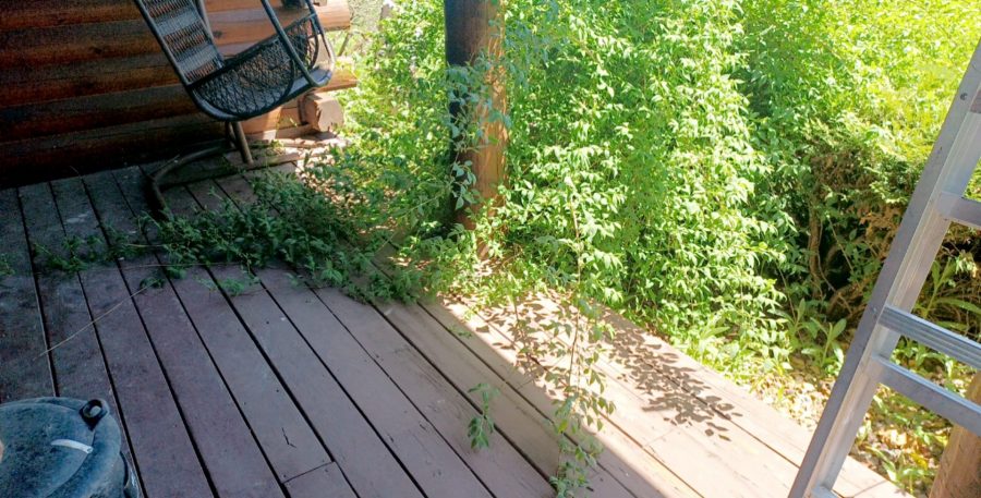 Residential Painting Project Preview Image 2