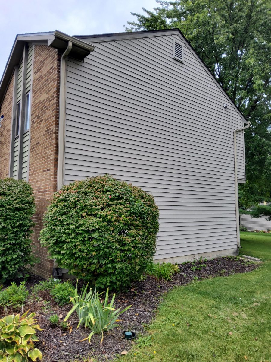 Residential Painting Project Preview Image 3