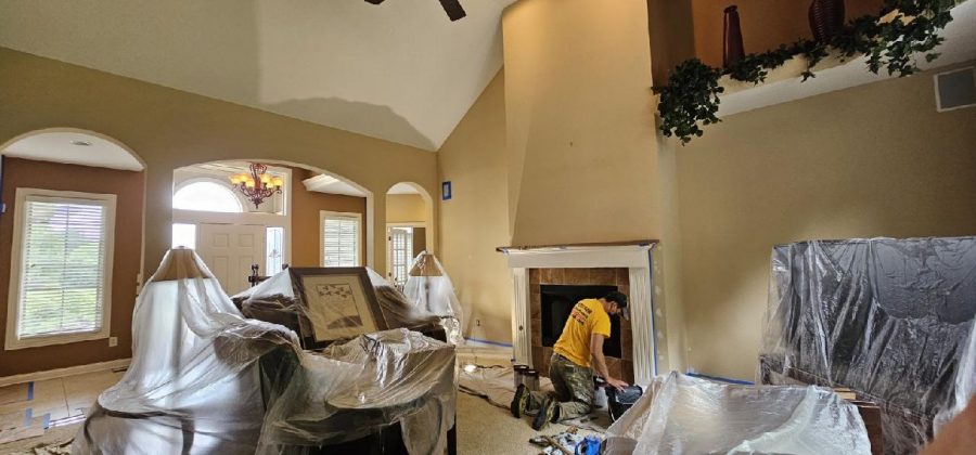 Residential Painting Project Preview Image 6