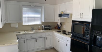 Interior Kitchen Painting