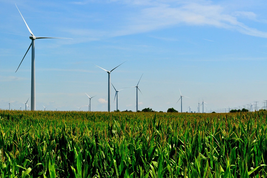 Illinois wind farm