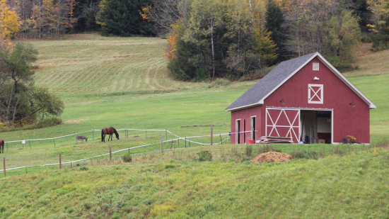 red barn in field in illinois