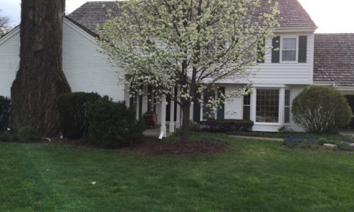 Elburn House Painters