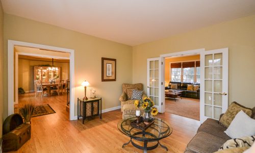 Living Room Painting