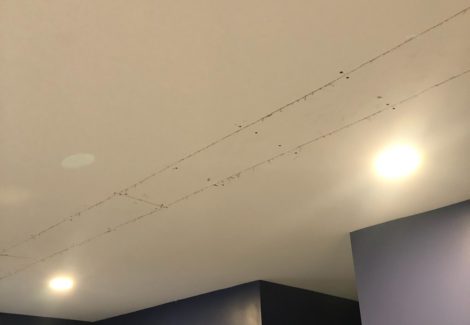 Drywall Repair Project