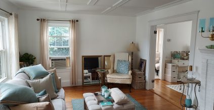 Living Room Interior Painting
