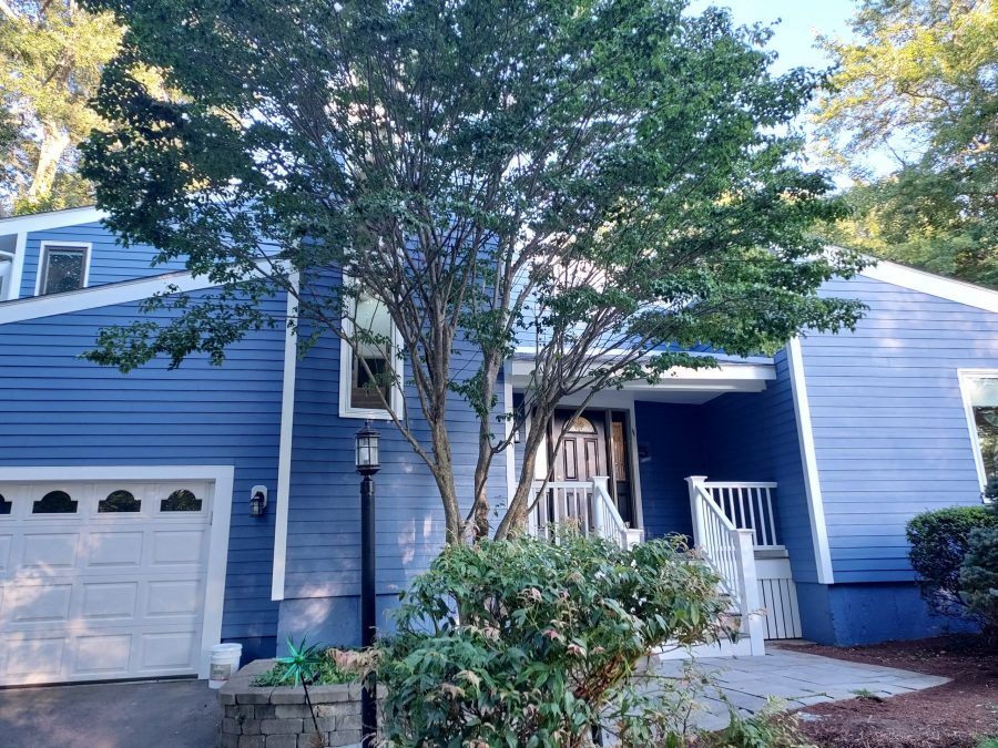 Sharon After (2) Preview Image 1