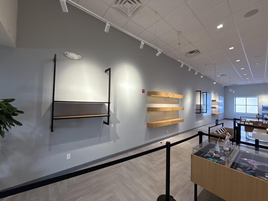 Sharon After (2) Preview Image 1