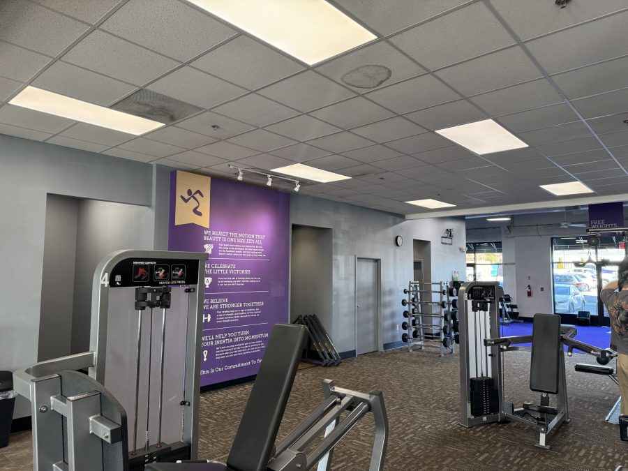 painted gym walls Preview Image 4