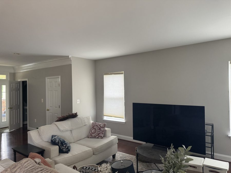 painted family room Preview Image 8