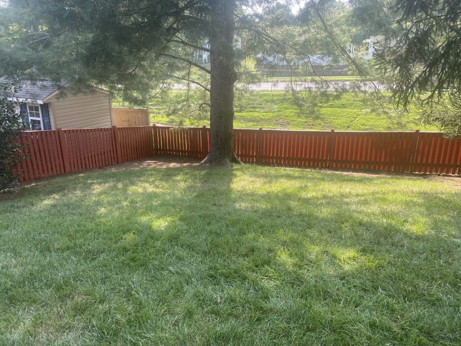backyard with newly stained fence Preview Image 1