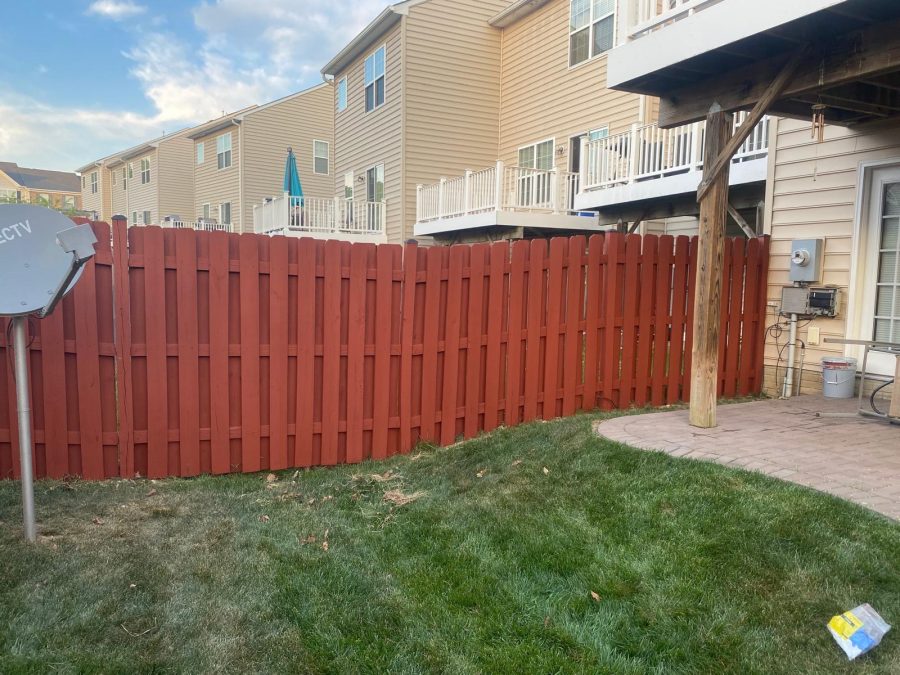Fence Staining Project Preview Image 1