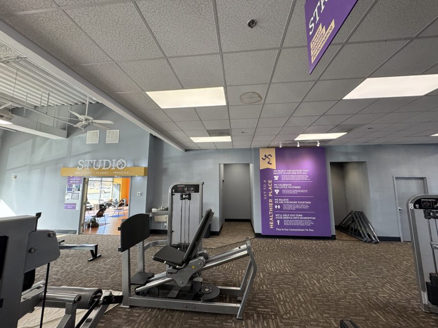 painted weight lifting area in gym Preview Image 3