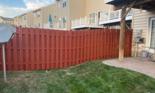 Fence Staining Project