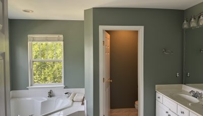 master bathroom with jacuzzi tub