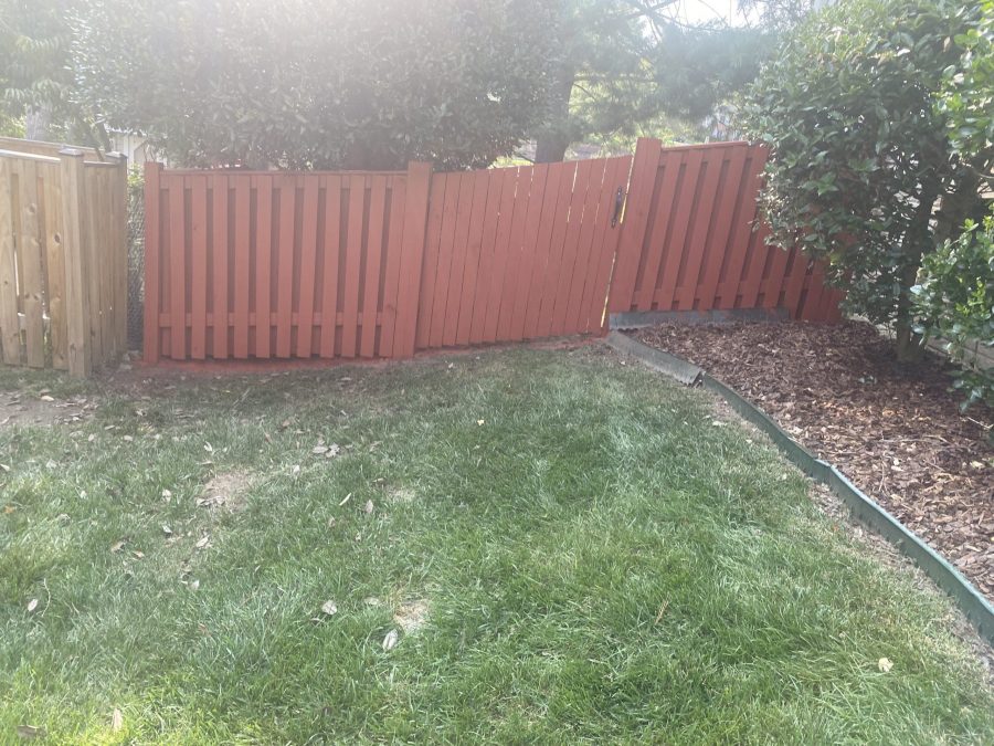 stained fence in backyard of home in fredericksburg, va Preview Image 3