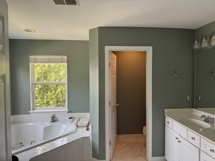 master bathroom with jacuzzi tub Preview Image 1