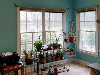 Freehold NJ Interior House Painting Professionals