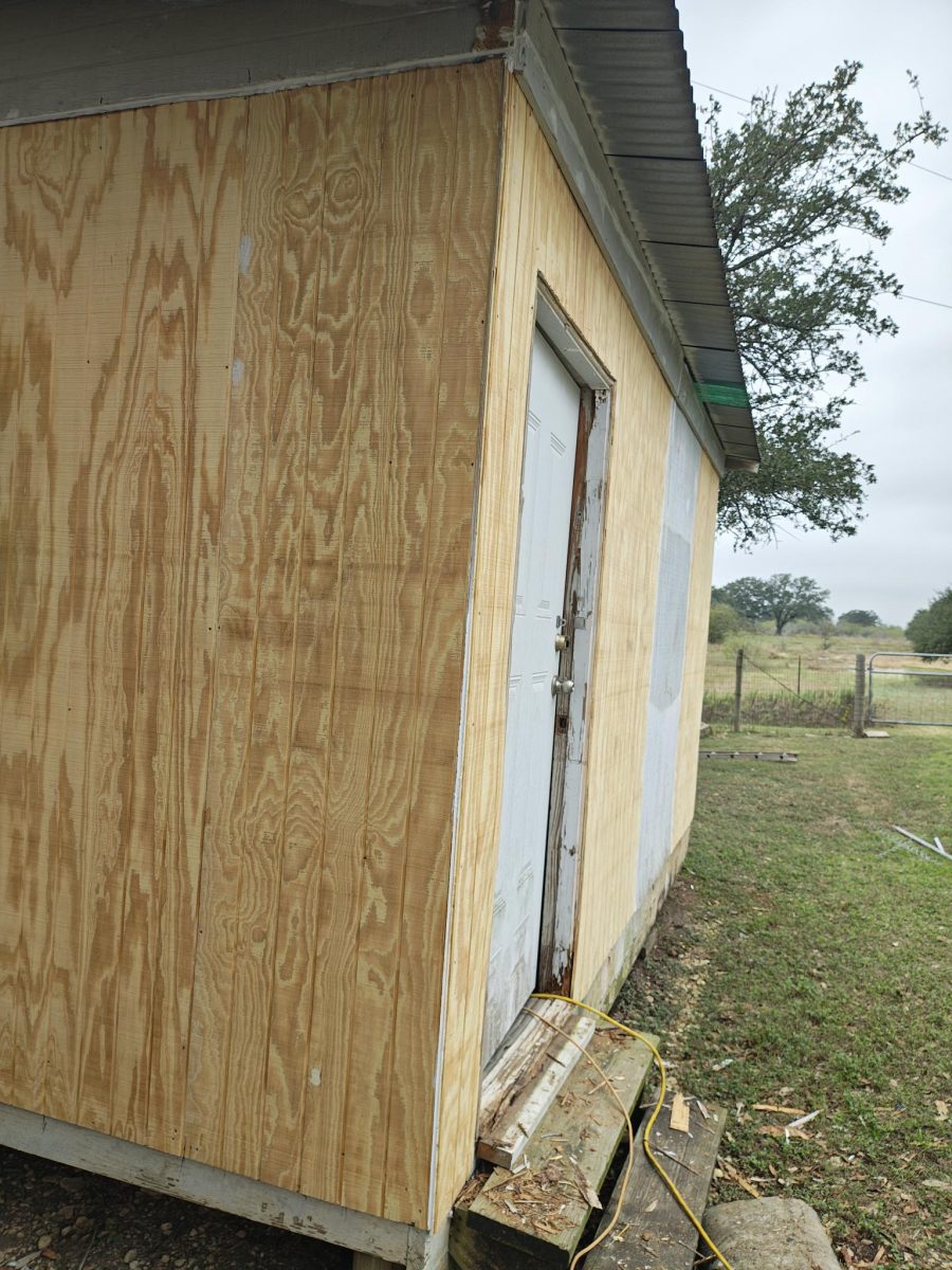 During shed repair in Gerogetown, TX Preview Image 6