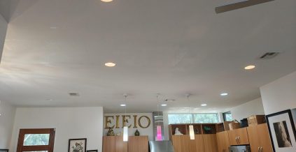 Ceiling Repair & Painting