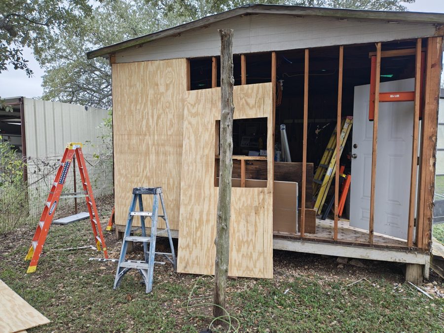 During shed repair and painting in Gerogetown, TX Preview Image 4