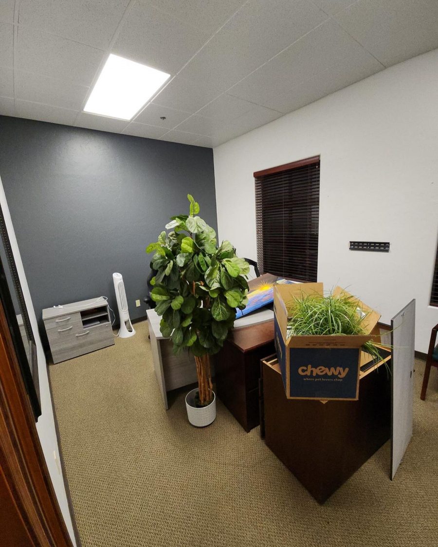 Edward Jones Painting Project Preview Image 3