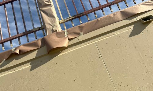 Fresh Coat in Progress