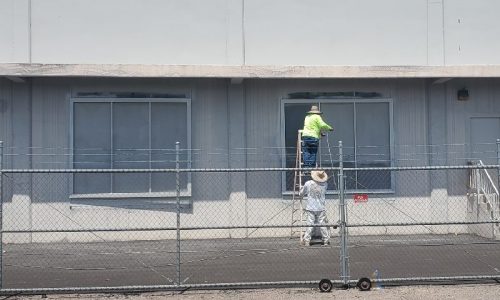 Painting in Progress