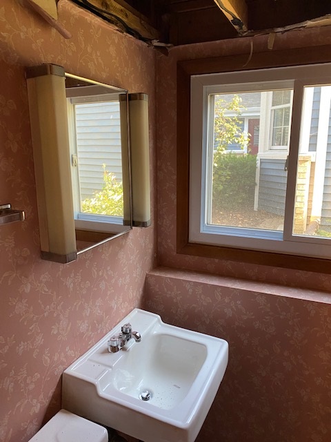 Bathroom Restoration in Glen Ellyn, IL