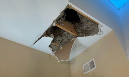 Damages to Bathroom Ceiling