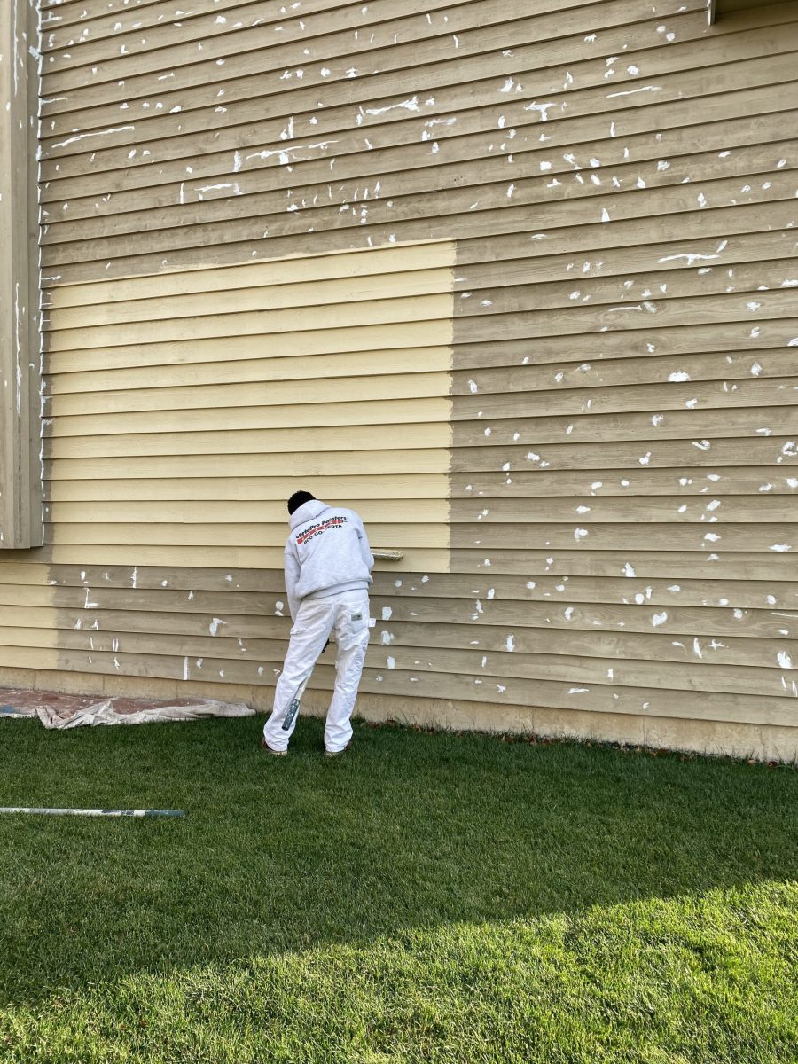 Professional Exterior Painters Glen Ellyn, IL Preview Image 1