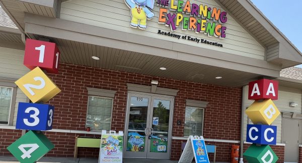 school painting wheaton il