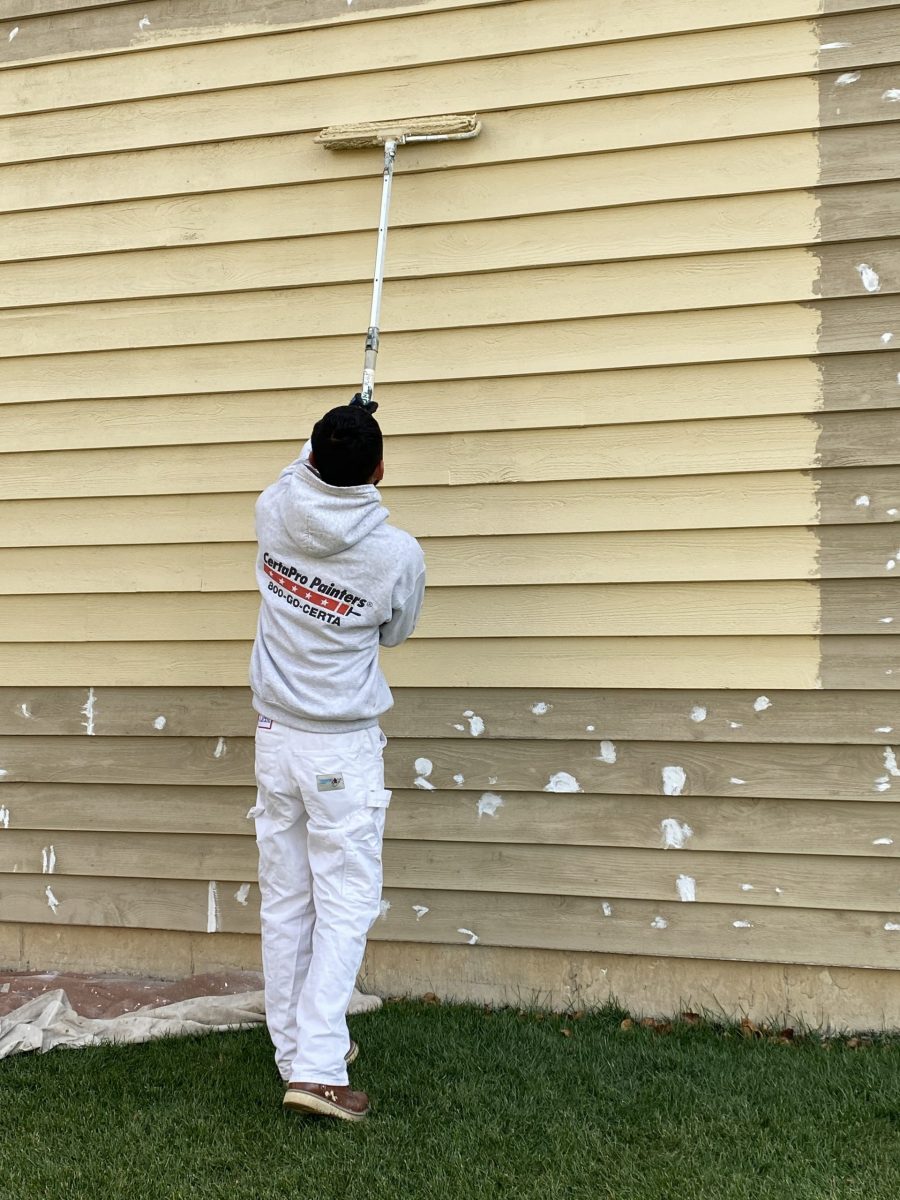 Professional Exterior Painters Glen Ellyn, IL Preview Image 6