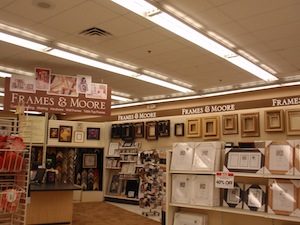 Gloucester Professional Painters