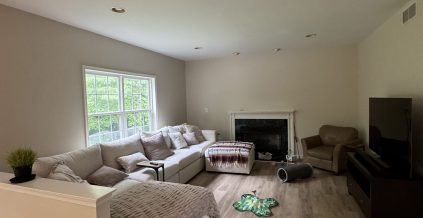 Interior House Refresh