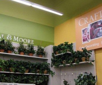 English Creek Commercial Painters