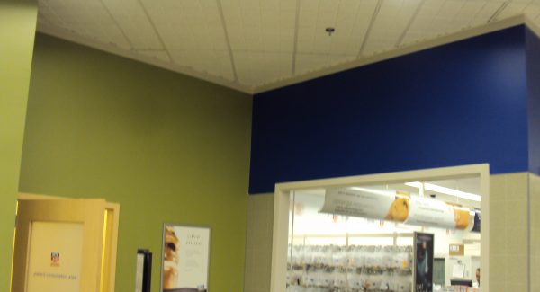 Woodstown Commercial Painters