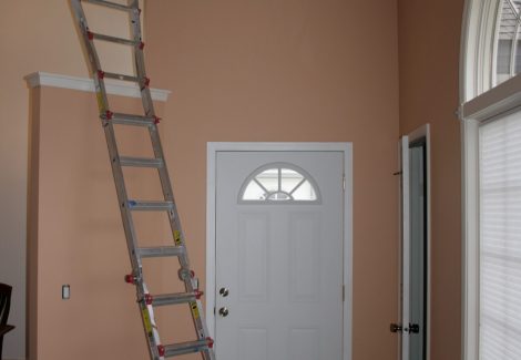 Duplex Painting Project
