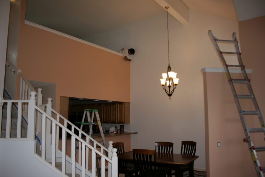 Duplex Painting Project Preview Image 5