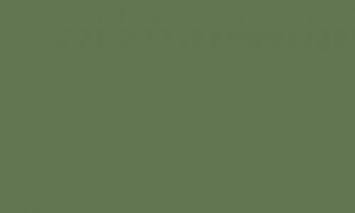 Shade of Olive Green