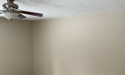 Interior Painting in Room