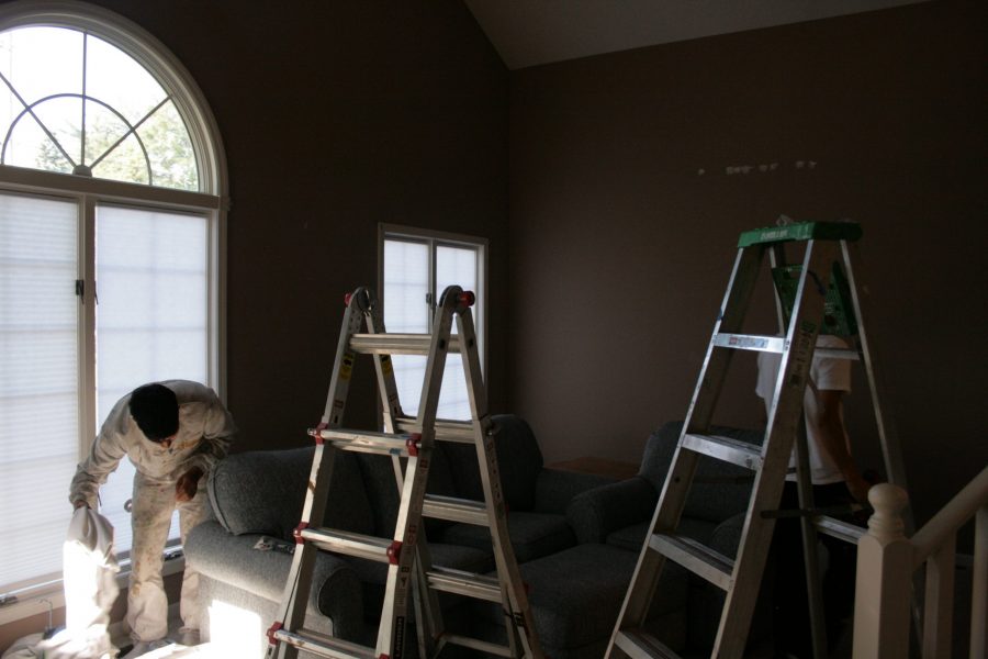 Duplex Painting Project Preview Image 7