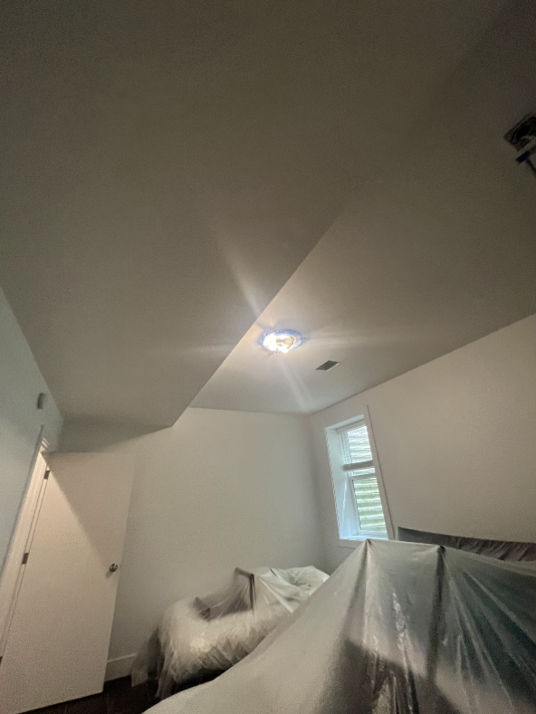 Duplex Painting Project Preview Image 1