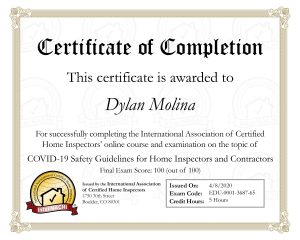 Dylan Molina Covid 19 Certificate