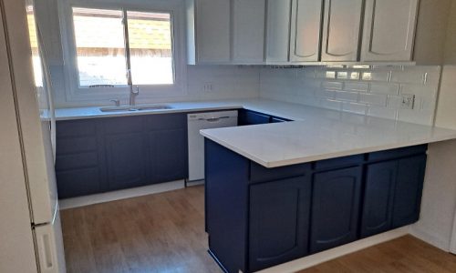 Cabinets in White and Blue
