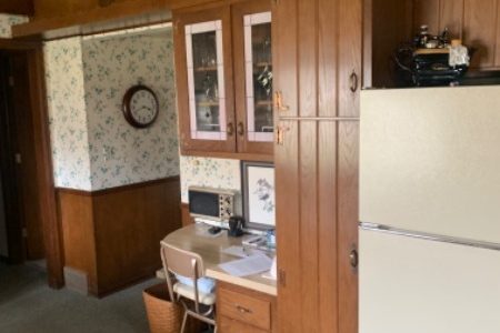 Kitchen Cabinet Painting & Remodel (Before)
