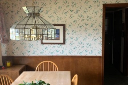 Kitchen Cabinet Painting & Remodel (Before)