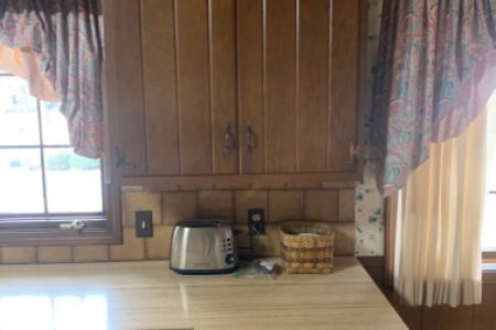 Kitchen Cabinet Painting & Remodel (Before)